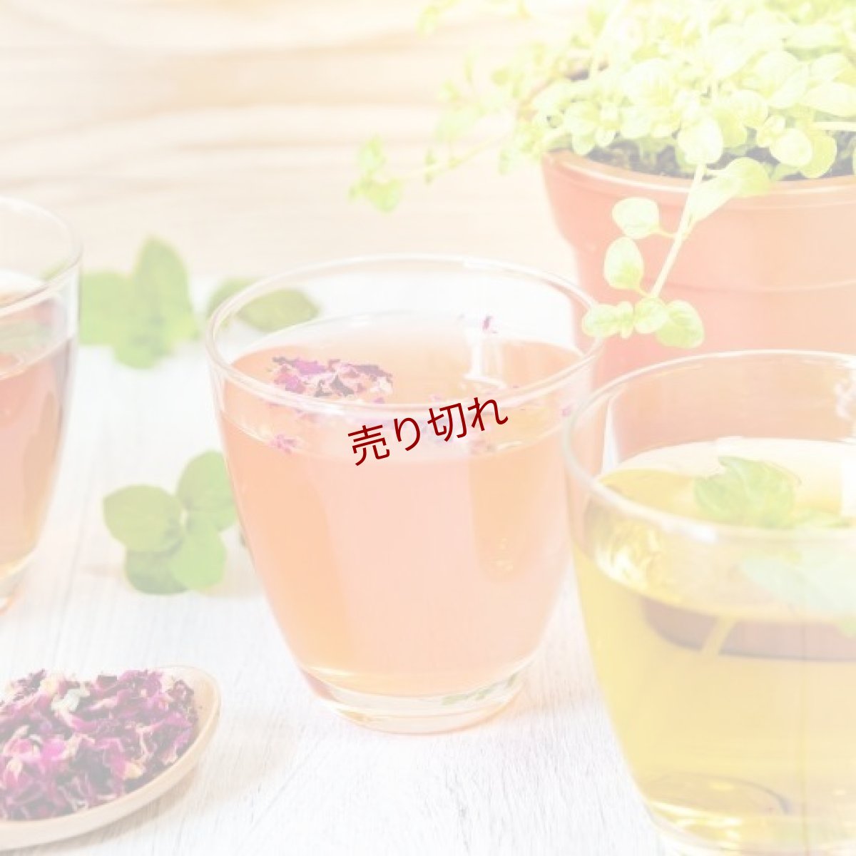 画像1: フルーツティー (1)
